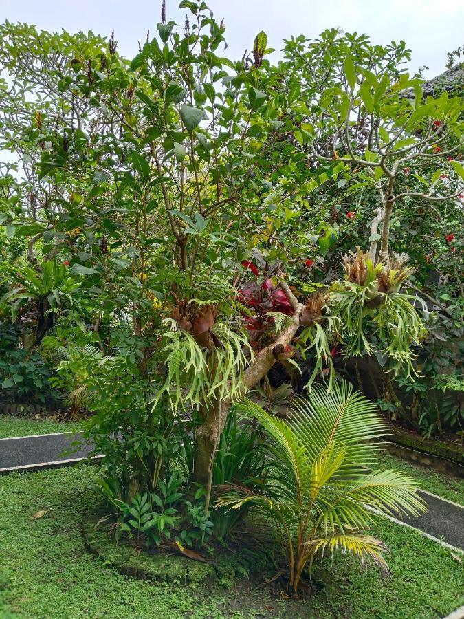 Bismajaya Bungalow Убуд Екстер'єр фото