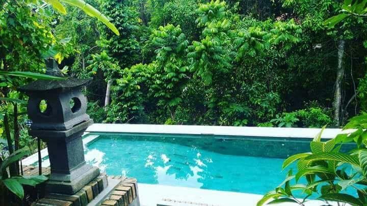 Bismajaya Bungalow Убуд Екстер'єр фото